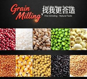 Moulin à riz professionnel 2000W pour usage domestique, machine à moudre le blé, en vente en Chine - Product Image 3