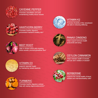 Extrait Liquide Multi-Plantes OEM en Gouttes Contenant du Ginseng Panax, de la Cannelle de Ceylan et de la Berbérine 60ml