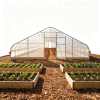 Serre de jardin moderne 25x100 pieds, tente de culture préfabriquée avec structure en acier galvanisé, alternative imperméable pour la culture à domicile en arrière-cour, facilement assemblable