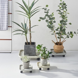 <span class=keywords><strong>De</strong></span> plástico pesado plaza se jardín macetas Rolling Plant paleta con ruedas - Product Image 5