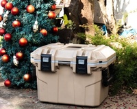 Tsunami vente en gros approvisionnement glacière 30L couleur bronzée coffre à glace pour pique-nique en plein air plage Camping refroidisseur Portable