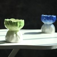 MSH Nouveau design, nouvelle glaçure colorée, petit pot pour plantes succulentes, cadeau de déménagement