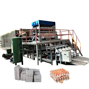 3000 pcs/h automatic waste carton recycling paper pulp metal drying egg tray making machine Turkey