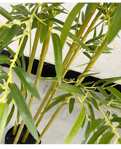 Arbre <span class=keywords><strong>de</strong></span> <span class=keywords><strong>Bambou</strong></span> Artificiel Doré Durable et Écologique Résistant aux UV, Simulation Réaliste pour Décoration Intérieure et Extérieure d'Hôtel - Product Image 6