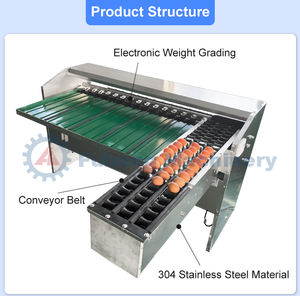 <span class=keywords><strong>เครื่อง</strong></span>คัดแยกไข่อัตโนมัติสแตนเลส 20,000 ฟองต่อชั่วโมง <span class=keywords><strong>เครื่อง</strong></span>คัดแยกไข่สำหรับคัดแยก ล้าง และบรรจุ - Product Image 4