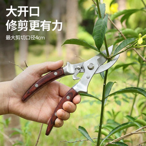 Tijeras de podar Pinheng Bypass de acero inoxidable con mango de madera, herramienta manual de jardín para recortar ramas, flores, frutas y verduras. - Product Image 2