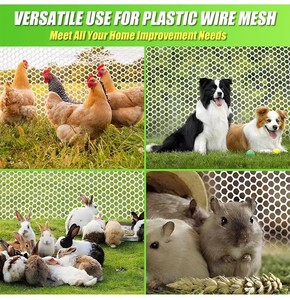 <b>Plastic</b> Flat <b>Mesh</b> 1.2cm <b>Mesh</b> 50m Length Green Hot Sale Multiple Colors Available for Poultry Chicken Cage - Product Image 5
