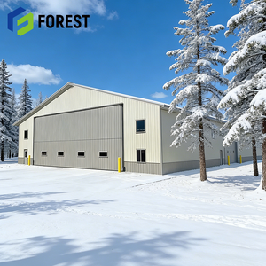 Solución Llave en Mano: Hangar de Aviones con Estructura Metálica de Acero, Instalación Rápida para Aviones Ligeros, Suministro Global - Product Image 1