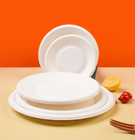 Assiette à dîner jetable à grille de 9 et 10 pouces personnalisable pulpe et papier de canne à sucre pour les fêtes