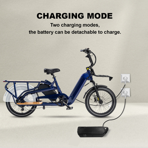Vélo cargo électrique OEM 750W à moteur central, vélo électrique à pneus larges <span class=keywords><strong>pour</strong></span> la famille - Product Image 2