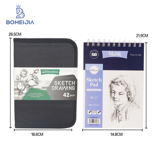 BOMEIJIA Best-seller : Ensemble de dessin et de peinture avec 42 crayons de fusain, règle, outil de croquis, sac en toile et bloc de dessin, fournitures artistiques - Product Image 2