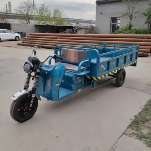 Tricicule de ranch de jardin Chariot électrique à 3 roues Cargo Trois roues Ebike Véhicule utilitaire