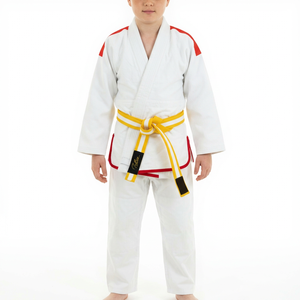 Nuevo Conjunto Deportivo Unisex para Niños, Traje de Jiu Jitsu, Karate, Judo, con Logotipo Frontal, Transpirable, 100% Algodón, 300g - Product Image 1