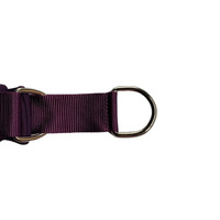 Collier pour chien personnalisé en nylon réfléchissant avec rembourrage en mousse ultra-doux, type martingale, à enfiler