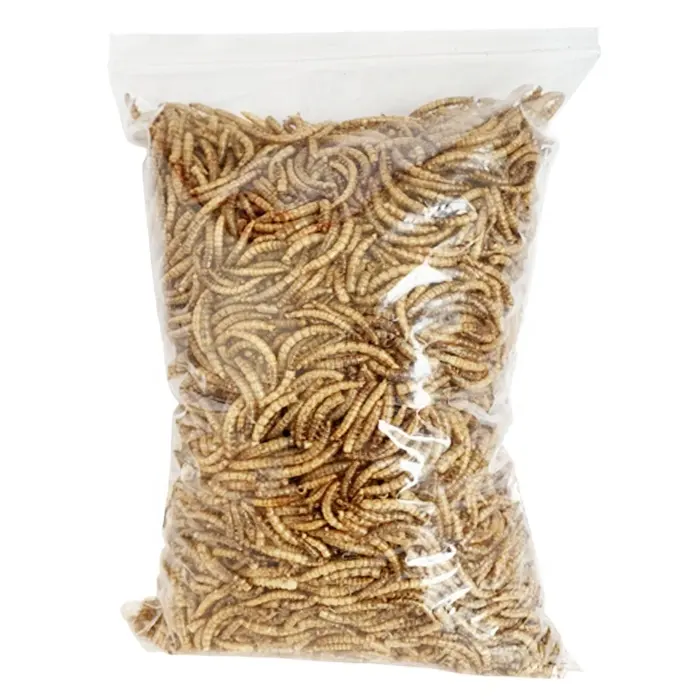 Healthy Dried Mealworm China Fish Food GMP Fish Feed FISH MEAL Chicken Food Dried Black Soldier Fly Larvae Chickens Wild Chicken