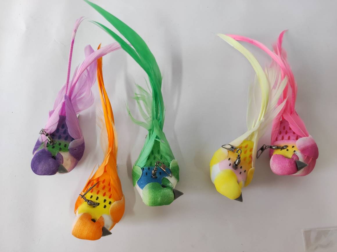 สีสันสดใส 1