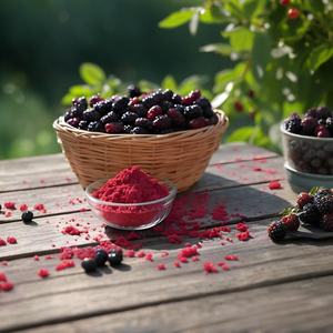 하이 퀄리티 천연 좋은 맛 동결 말린 뽕나무 분말 - Product Image 4