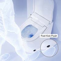 Toilette intelligente sans électricité, sans entretien, avec double lavage avant et arrière, buse autonettoyante sans alimentation, bidet en céramique