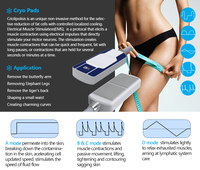Appareil professionnel de remodelage corporel à 8 poignées, électrostimulation EMS, coussinets rafraîchissants et affichage de la température