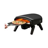 Four à pizza au gaz coloré de 14 pouces avec pierre tournante en option, cuisson rapide de 60 à 90 secondes avec thermomètre, design pliable, finition poudrée