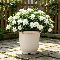 Pots de culture en plastique pour pépinière, fleurs, herbes et légumes, avec trous de drainage, pour usage extérieur et intérieur, blanc