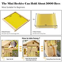 Mini ruche à miel auto-fluideur Flowing Bee Hive avec kit de démarrage 4 pièces et kit complet de ruche à 6 cadres avec conception de miel auto-fluideur