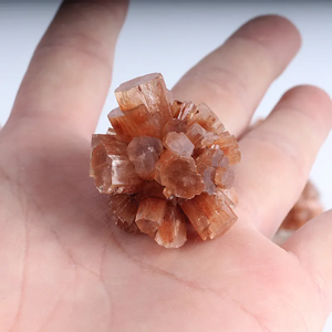 Cristalli naturali di vendita calda campione minerale di nefelina Aragonite marrone per la decorazione domestica - Product Image 6