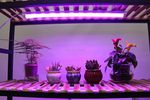 T5 T8 Full Spectrum Indoor Plant Growth Light Tube LED étanche pour les semis de fleurs Supplément pour plantes succulentes Indice IP65 18W - Product Image 3