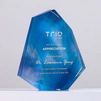 Cadeau d'Affaires Personnalisé en Forme de Glaçon, Trophée en Verre de Cristal Iceberg Irrégulier, Plaques et Médailles Design