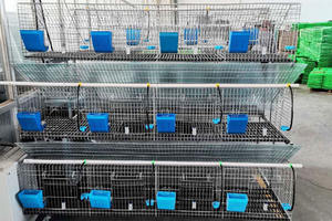 Gabbia a batteria per allevamento di conigli, nuovo <span class=keywords><strong>Design</strong></span>, 2025 - Product Image 2