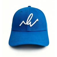 Gorra de Béisbol de Sarga de Algodón de 6 Paneles con Logotipo Personalizado OEM, Bordado Estereoscópico 3D, Gorra Deportiva Informal para Exteriores