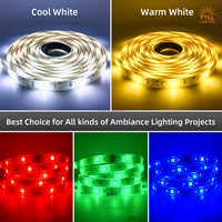 Bande lumineuse LED RVB personnalisée certifiée CB, application/télécommande, température de couleur 2700K-6000K, IRC 90, longueur 50m, efficacité 110lm/W