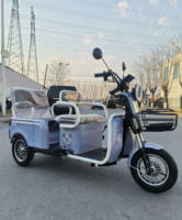 YINGWU Tricycle électrique pour adultes 500W Nouveau Tricycle électrique bon marché Fabricant chinois