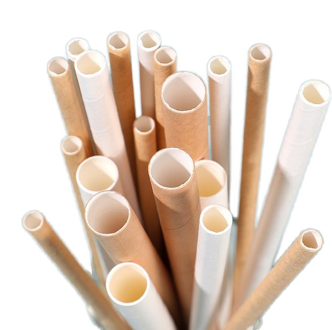 Custom Printed Paper Straws Biodegradable Disposable Straws for Wedding & Events