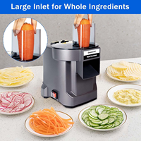 Robot culinaire électrique professionnel 5 en 1, coupe-légumes, trancheuse, hachoir pour fruits, oignons, pommes de terre, appareil de cuisine CE