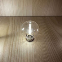Ampoules LED de remplacement E12, 1 Watt, Dimmables, Incassables, Alimentées en Courant Alternatif, pour la Décoration de Patio