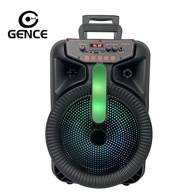 Karaoke Singing Machine 5.0 for Built-in Wireless Microphone RGB LED Lighting Portable Outdoor Speaker 20W Mobile Phone