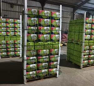 Nueva cosecha de ajo fresco chino blanco Normal/ajo blanco puro Alho Ajo Ail suministro con precio al por mayor de ajo - Product Image 6