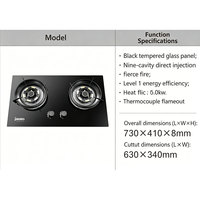 Table de cuisson à gaz moderne à 2 brûleurs, classe A en termes d'efficacité énergétique, surface en verre intégrée, usage domestique, prix d'usine, vente en gros