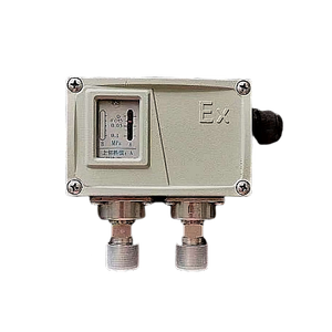 Interruptor Diferencial de Control de Acero Inoxidable a Prueba de Explosiones y Resistente a la Corrosión Modelo HYWCF Instrumento Yichang HYW-CF - Product Image 3