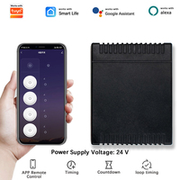 Module récepteur d'interrupteur d'éclairage intelligent WiFi 24V, contrôleur de porte de garage mural, télécommande sans fil, fonctionne avec Alexa Google