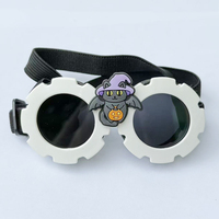 Lunettes de soleil OEM Anlorr 3038 style Halloween à grande monture, lunettes de protection pour animaux de compagnie, lunettes de protection pour chiens, Gafas Protectoras