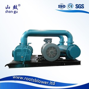 <span class=keywords><strong>Souffleur</strong></span> Roots à déplacement positif triphasé 415V à haut rendement, à faible bruit, pour le transport pneumatique et l'aération - Product Image 5