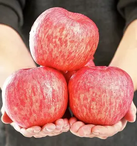 Venta al por mayor Yantai Red Fuji Green Golden Delicious Apples Gala Apples Fresh Apples en venta