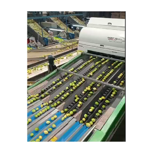 Venta caliente francés Maf Roda 8 líneas para cítricos precio barato líneas automáticas de clasificación de frutas línea de clasificación de frutas usadas de calidad automática - Product Image 1