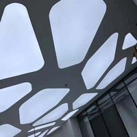 Plafond tendu cinématique en tissu LED artistique, rectangulaire, carré, imperméable, à intensité variable, recouvert de toile en film PVC imprimé UV décoratif