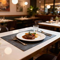 Set de table en cuir PU texturé de haute qualité, personnalisable, pour la décoration de restaurant, tapis de table, isolation thermique
