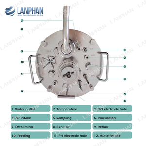เครื่องปฏิกรณ์ชีวภาพแบบแก้วกวนผสมความเร็วแปรผันสำหรับการเพาะเลี้ยงเซลล์สัตว์เลี้ยงเลี้ยงลูกด้วยนม การผลิตเอนไซม์ และการทดสอบการย่อยสลายทางชีวภาพในสิ่งแวดล้อม - Product Image 3
