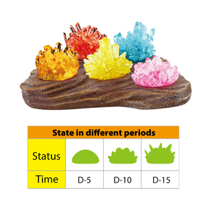 Kit de projets scientifique pour enfants, jeu éducatif, avec tige d'expérimentation de laboratoire, de culture, en cristal - Product Image 3