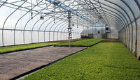 Serre agricole commerciale compacte en PE avec film PE 120 microns, système hydroponique, profilés Poly Lock, structure stable et facile à assembler